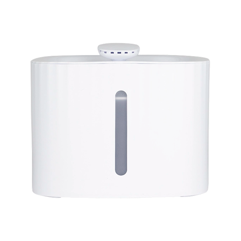 夜に見える静かな噴水