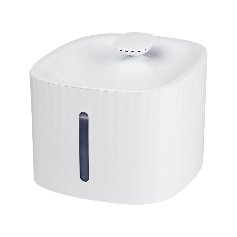 夜に見える静かな噴水 夜に見える静かな噴水